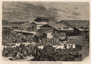 मछली बाजार का सामान्य दृश्य, माल की बार्कियों के बंदरगाह, झोंपड़ियों और उत्पादों की प्रस्तुति के स्टालों के साथ, और नीलामी घरों को बिक्री के लिए मंच, जीवंत एनीमेशन के साथ जो जगह को फिर से जोड़ता है: पोर्टफैक्स, विक्रेता और एम द्वारा अज्ञात कलाकार