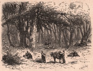 फॉनटेनब्लियू के जंगल में मशरूम उठाते लोगों का समूह द्वारा अज्ञात
