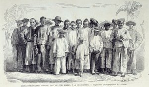 फ्रांसीसी उपनिवेशों का इतिहास: ग्वाडेलोप में काम कर रहे चीनी अप्रवासी। 19वीं सदी के उत्तरार्ध की तस्वीर के बाद आरेखण चार्ट्रेस मुसी डेस बीक्स आर्ट्स द्वारा अज्ञात कलाकार