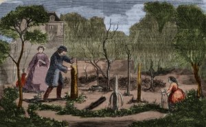 बागवानी: पौध प्रतिरोपण की मुख्य विधियाँ। 1860 उत्कीर्णन। द्वारा अज्ञात कलाकार