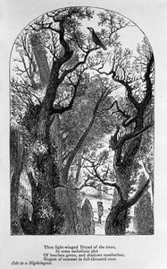 कवि जॉन कीट्स (1795-1821) 19वीं सदी द्वारा "" ओड टू ए नाइटिंगेल "" के लिए चित्रण द्वारा अज्ञात कलाकार