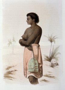 स्वदेशी टोंगा डी'ओशिनिया - स्कोगमैन कार्ल जोहान अल्फ्रेड द्वारा "फर्स्ट स्वीडिश सर्क्युविगेशन" में, एड। स्टॉकहोम, एडॉल्फ बोनियर द्वारा अज्ञात कलाकार