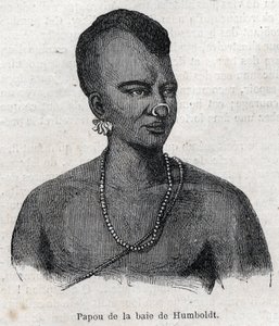 न्यू गिनी (न्यू गिनी) के स्वदेशी लोग: हम्बोल्ट बे के पापुआ। "" ल 'विश्वविद्यालयों के शानदार" में उत्कीर्णन द्वारा अज्ञात कलाकार