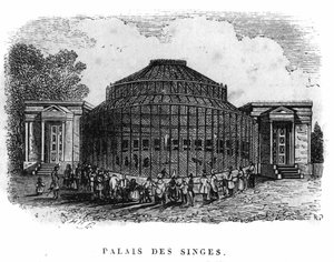1861 में पेरिस में जार्डिन डेस प्लांट्स: बंदरों का महल। द्वारा अज्ञात कलाकार