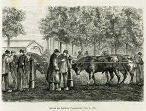 लीवार्डेन (नीदरलैंड) में पशु चलना। एडौर्ड चार्टन (1807-1890), हैचेट, पेरिस द्वारा निर्देशित, ले टूर डू मोंडे 1886 में, एक डच समाचार पत्र के संबंध पर आधारित कहानी ला फ़्रीज़ को चित्रित करने के लिए उत्कीर्णन। द्वारा अज्ञात कलाकार
