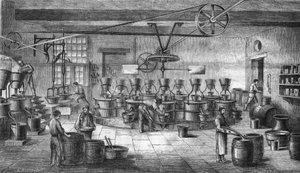 बॉरदॉ में लुइट फ़्रेरेस में सरसों और डिब्बाबंद भोजन का निर्माण। 1865 से उत्कीर्णन। द्वारा अज्ञात कलाकार