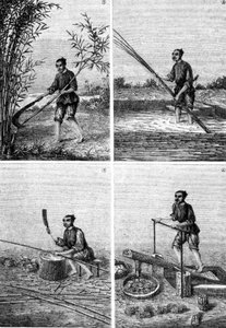 लुई फिगुएर, पेरिस द्वारा "" लेस वंडर्स डी ल 'इंडस्ट्री" में चीन में कागज बनाना द्वारा अज्ञात कलाकार