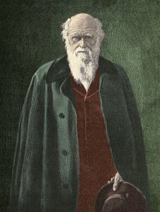 चार्ल्स डार्विन का पोर्ट्रेट (1809 - 1882) द्वारा अज्ञात कलाकार