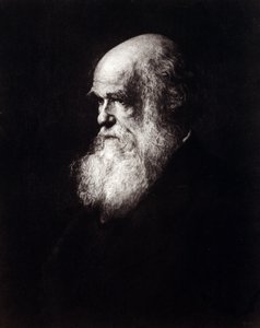 चार्ल्स रॉबर्ट डार्विन का पोर्ट्रेट (1809 - 1882) द्वारा अज्ञात कलाकार