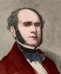 फिट्ज़-ग्रीन का पोर्ट्रेट (फ़िट्ज़ ग्रीन) हालेक (1790-1867), अमेरिकी कवि। 23 जनवरी 1858 के "" द इलस्ट्रेटेड लंदन न्यूज "" में उत्कीर्णन। द्वारा अज्ञात कलाकार