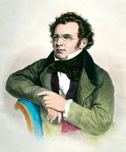 फ्रांज शुबर्ट का पोर्ट्रेट (1797-1828), ऑस्ट्रियाई संगीतकार। 19वीं सदी की नक्काशी। निजि संग्रह द्वारा अज्ञात कलाकार