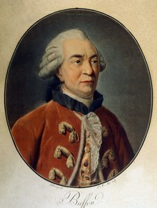 जॉर्जेस लुइस लेक्लर का पोर्ट्रेट, काउंट ऑफ बफन (1707 - 1788), फ्रांसीसी प्रकृतिवादी और लेखक। द्वारा अज्ञात कलाकार