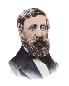 हेनरी डेविड थोरो (1817-1862) का पोर्ट्रेट - अमेरिकी निबंधकार, कवि, दार्शनिक, उन्मूलनवादी, प्रकृतिवादी, कर प्रतिरोधी, विकास आलोचक, सर्वेक्षक और इतिहासकार द्वारा अज्ञात कलाकार