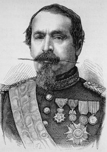 नेपोलियन III का पोर्ट्रेट (1808 - 1873)। एच. मार्टिन द्वारा "हिस्टोइरे डी फ्रांस" में 19वीं शताब्दी के अंत का उत्कीर्णन। द्वारा अज्ञात कलाकार