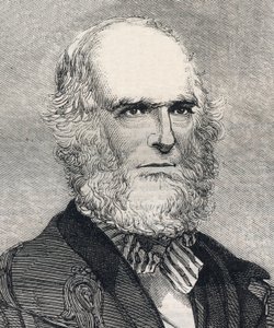 विलियम कलन ब्रायंट का पोर्ट्रेट (1794-1878), अमेरिकी कवि। 23 जनवरी 1858 के "" द इलस्ट्रेटेड लंदन न्यूज "" में उत्कीर्णन। द्वारा अज्ञात कलाकार