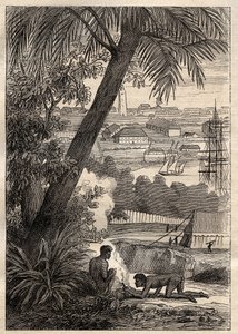 दक्षिणी भूमि के लिए अभियान (1800-1803) निकोलस बौडिन (1754-1803) द्वारा: सिडनी (ऑस्ट्रेलिया) का दृश्य - "18 वीं शताब्दी के महान नाविक" से चित्रण। द्वारा अज्ञात कलाकार