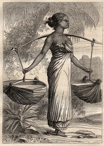 कैप्टन एटिने मारचंद (1755-1793) द्वारा दुनिया भर में अभियान (1790-1792): तिमोर (पूर्वी तिमोर, इंडोनेशिया) में जल वाहक - "18 वीं शताब्दी के महान नाविक" से लिया गया चित्रण। द्वारा अज्ञात कलाकार