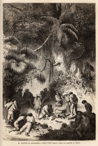 कारवाया घाटी (एंडीज कॉर्डिलियर) में प्राचीन जंगल में भोजन की तैयारी, छोटे शोरबा के साथ एक बोआ कंस्ट्रिक्टर। १८४९-१८६१ में पॉल मार्कोय द्वारा एनग्रेव्योर पे इलस्ट्रेटर ले वॉयेज डान्स लेस वैलेस डी क्विनक्विनास (पेरू), "ले टू" में प्रकाशित हुआ। द्वारा अज्ञात कलाकार