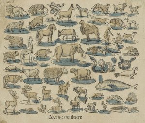 पशु। 1750-1800 द्वारा अज्ञात