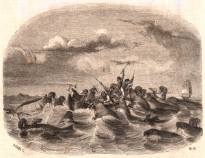 स्पिट्सबर्गेन के तट से 1818 में वालरस के झुंड का पीछा करते हुए अंग्रेजी नाविकों के एक समूह का दृश्य द्वारा अज्ञात