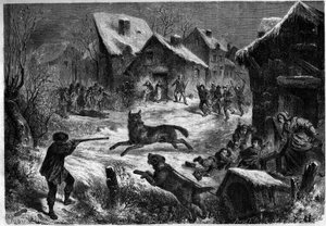 सालियर्स के गांव में भेड़िया शिकार, बुचेस डू रोन (13), 31 दिसंबर 1860। 12 जनवरी 1861 के "" ले मोंडे इलस्ट्रे "" नंबर 196 में उत्कीर्णन। द्वारा अज्ञात कलाकार