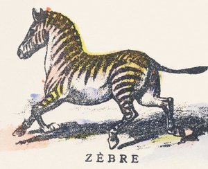 Z: ज़ेबरा द्वारा अज्ञात कलाकार