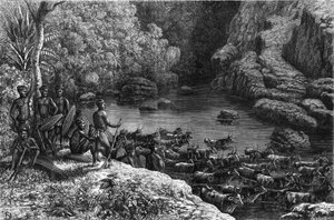 अफ्रीका में ज़ूलौलैंड: क्योंकि जंगल आवश्यक संसाधनों की पेशकश नहीं करते हैं, ज़ुलु जनजाति उन मैदानों में जाने के लिए बाध्य है जहां वे खेती करते हैं और मवेशी पालते हैं। "" ला नेचर "" में उत्कीर्णन द्वारा अज्ञात कलाकार