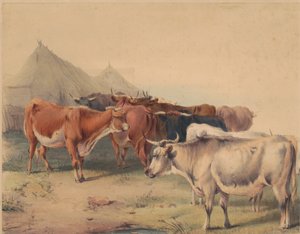  द्वारा अज्ञात कलाकार