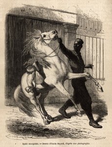 सेंट लुइस (सेंट लुइस) में एक सेनेगल स्पाही (घुड़सवार)। 1868 में वाइस एडमिरल फ्लेरियट डी लैंग द्वारा अफ्रीका के तट पर एक क्रूज को चित्रित करने के लिए उत्कीर्णन, "ले टूर डू मोंडे"" 1872 में प्रकाशित, एडौर्ड चार्टन द्वारा संपादित, संस्करण हैचेट द्वारा अज्ञात कलाकार