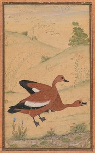  द्वारा अज्ञात कलाकार