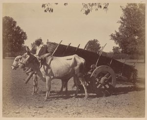  द्वारा अज्ञात कलाकार
