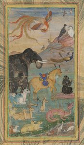 पशु पक्षी द्वारा अज्ञात कलाकार