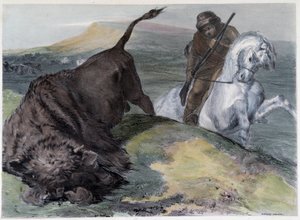 कैनेडियन ह्यूरन बफ़ेलो हंट - कोक स्माइथ, लंदन द्वारा "" शिथ्स स्केचेस इन द कनाडास"" में द्वारा अज्ञात कलाकार