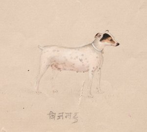  द्वारा अज्ञात कलाकार
