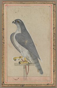  द्वारा अज्ञात कलाकार