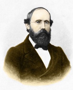बर्नहार्ड रीमैन का पोर्ट्रेट (1826-1866।) जर्मन गणितज्ञ द्वारा अज्ञात कलाकार