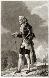 वोल्टेयर का पोर्ट्रेट (1694 - 1778), फ्रांसीसी लेखक और दार्शनिक, बुजुर्ग। द्वारा अज्ञात कलाकार