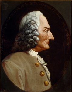 फ्रांसीसी संगीतकार जीन फिलिप (जीन-फिलिप) रमेउ (1683-1764) का पोर्ट्रेट 18 वीं शताब्दी की बेनामी पेंटिंग। बोलोग्ना सिविको म्यूज़ो बिब्लियोग्राफ़िको म्यूज़िकल द्वारा अज्ञात कलाकार