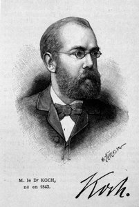 जर्मन डॉक्टर रॉबर्ट कोच का पोर्ट्रेट (1843-1910)। द्वारा अज्ञात कलाकार