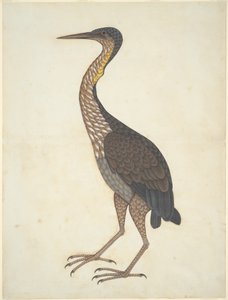  द्वारा अज्ञात कलाकार