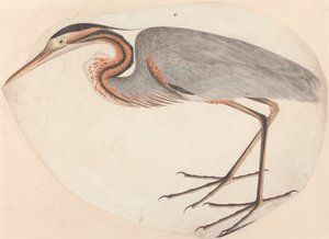  द्वारा अज्ञात कलाकार
