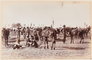 13 वीं द्वारा अज्ञात