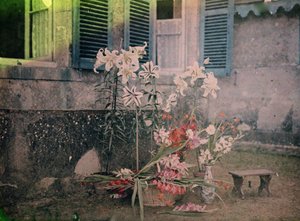  द्वारा अज्ञात फोटोग्राफर