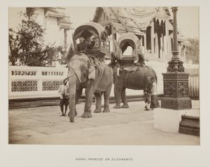फोटो एलबम में फोटो द्वारा अज्ञात फोटोग्राफर