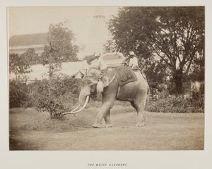 फोटो एलबम में फोटो द्वारा अज्ञात फोटोग्राफर