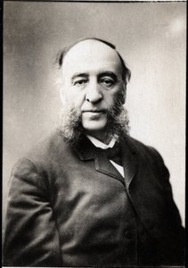 जूल्स फेरी का पोर्ट्रेट (1832-1893), फ्रांसीसी राजनेता। द्वारा अज्ञात फोटोग्राफर