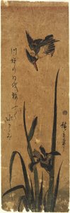 (आइरिस और किंगफिशर), 1830-1858