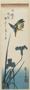 (आइरिस और किंगफिशर), 1843-1847