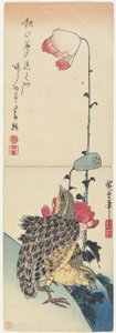(बटेर एंड पोपीज), 1830-1858
