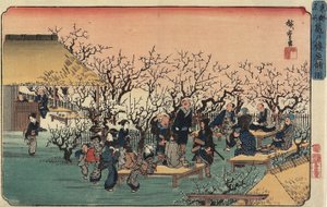 1832-1834 को कमीडो में प्लम गार्डन का दृश्य
